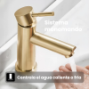 Sistema monomando