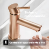 Sistema monomando
